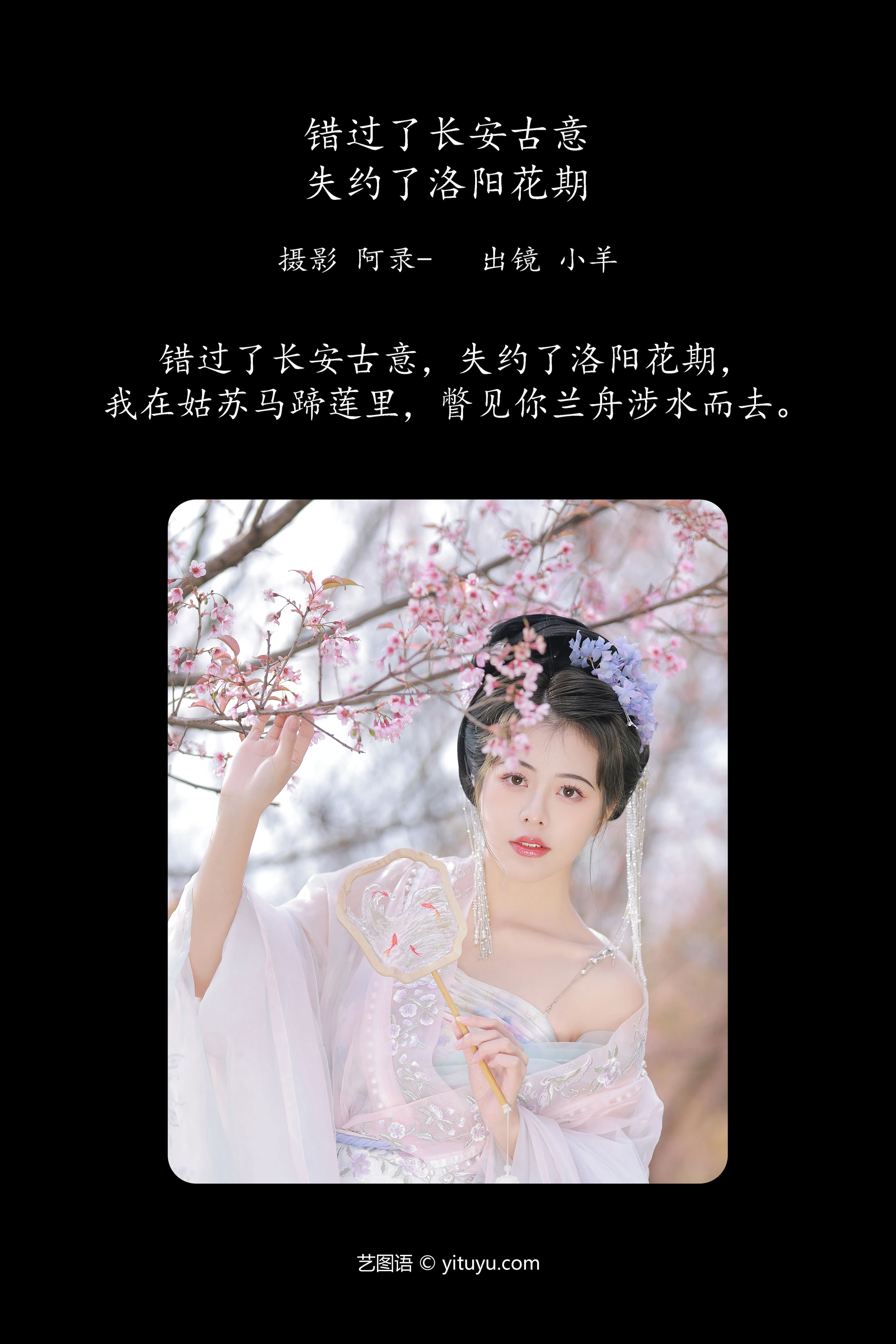 [YITUYU艺图语]2023.11.23 错过了长安古意，失约了洛阳花期 聒噪小羊 0